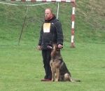 chien allemand berger Stopper un chien en pleine course sur commande