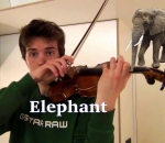 cri imitation Des cris d'animaux avec un violon