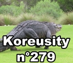koreusity compilation mai Koreusity n°279