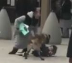 chien attaque enfant Un papa maîtrise un chien pour défendre son enfant