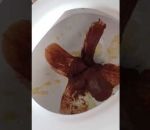 caca Mousse au chocolat dans la cuvette des toilettes (Israël)