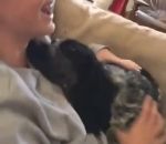 chien caresse Un chien aimanté à sa maîtresse