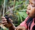 enfant Des enfants capturent des mygales pour les manger