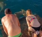 femme Nourrir les requins à mains nues (Australie)