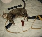 fusil chat A-CAT-47
