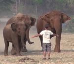 elephant refuge Un homme appelle un éléphant