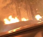 feu incendie Pris au piège en voiture dans un feu de forêt