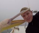 pelican tete Selfie avec un pélican