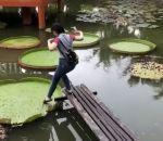 fail eau chute Femme vs Nénuphar géant  (Thaïlande)