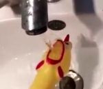 robinet eau Noyade d'un poulet en caoutchouc