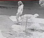 chien Il affiche une femme qui laisse son chien faire caca sur sa pelouse (Australie)