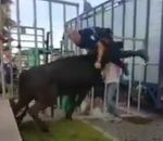 policier Un policier municipal attaqué par un taureau (Grau-du-Roi)
