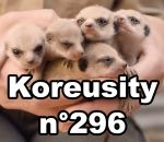 compilation octobre koreusity Koreusity n°296