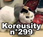 koreusity compilation novembre Koreusity n°299
