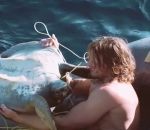 sauvetage filet corde Il libère quatre tortues prisonnières d'un filet de pêche (Océan Pacifique)