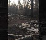 incendie maison californie Elle retrouve son chat un mois après les incendies de Camp Fire (Californie)