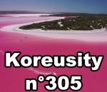 web Koreusity n°305