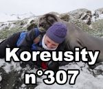 koreusity compilation decembre Koreusity n°307