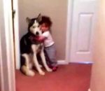 chien peur husky Un bébé se blottit contre son chien quand il entend l'aspirateur