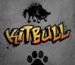 pitbull Kitbull