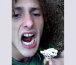 surprise Manger un champignon cru dans une forêt