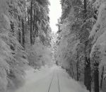 train neige Voyage en train dans une forêt enneigée (Corse)