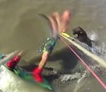 chien pitbull Un chien attaque un kitesurfeur