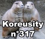 koreusity insolite 2019 Koreusity n°317
