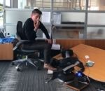 collegue rire Le bureau de son collègue s'effondre pendant qu'il est au téléphone