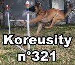 koreusity compilation avril Koreusity n°321