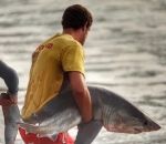 surfeur sauvetage Sauvetage d'un bébé grand requin blanc (Afrique du Sud)