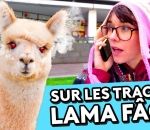 youtube Lama Fâché, le fake à plein YouTube ! (Aude WTFake)