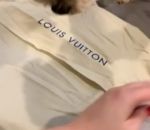 vomi chien Une femme déballe son nouveau sac Louis Vuitton