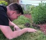lapin Des bébés lapins dans son jardin
