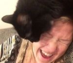 bondir attaque Une chatte bondit sur sa maîtresse quand elle chante