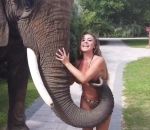 femme sein Un éléphant coquin
