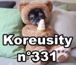 koreusity compilation juin Koreusity n°331