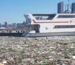 sud Une marée de déchets plastiques dans un port (Afrique du Sud)