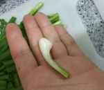 ecouteur airpods AirPods Vegan