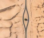 route arbre sable Dubaï fait sa part pour sauver les arbres