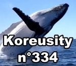 koreusity compilation 2019 Koreusity n°334