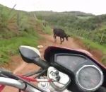 arriere motard Roue arrière à moto vs Vache
