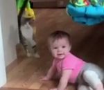 bebe Un chat surpris par un bébé