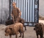 homme chien Balade dans la boue avec ses chiens