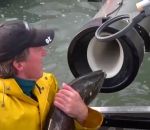 barrage poisson hyperloop-saumons
