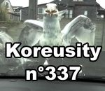 koreusity compilation aout Koreusity n°337