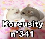 koreusity compilation aout Koreusity n°341