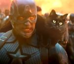montage chat avengers OwlKitty : Endgame