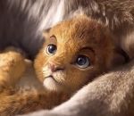 lion film Le Roi Lion amélioré avec du deepfake