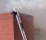 incendie Sauvetage de ratons laveurs avec des échelles lors d'un incendie